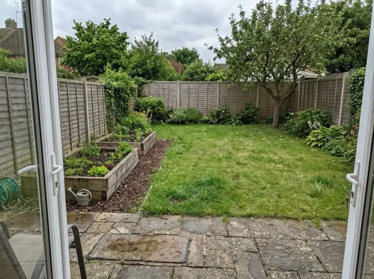 A phone photo of a back garden with a lawn, two raised beds, a fence and an apple tree